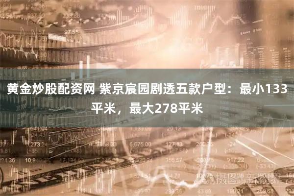 黄金炒股配资网 紫京宸园剧透五款户型：最小133平米，最大278平米