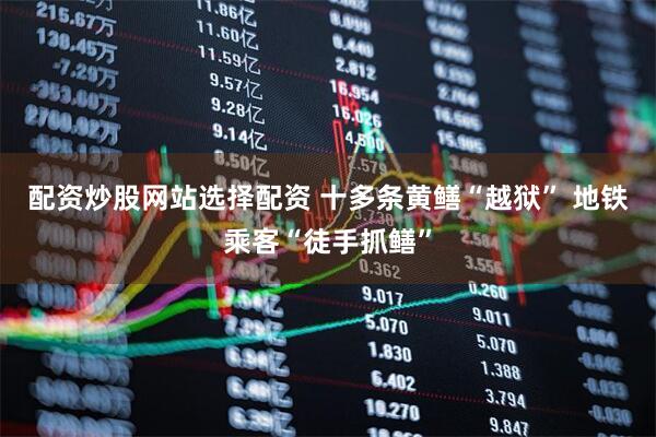 配资炒股网站选择配资 十多条黄鳝“越狱” 地铁乘客“徒手抓鳝”