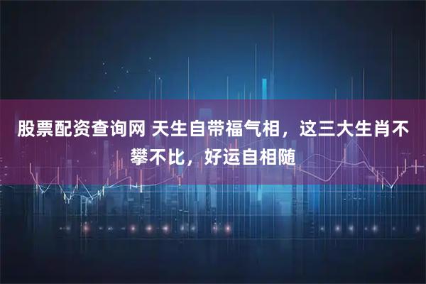 股票配资查询网 天生自带福气相,这三大生肖不攀不比,好运自相随