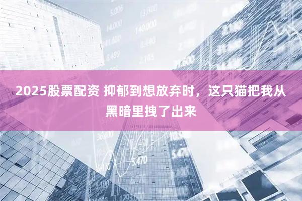 2025股票配资 抑郁到想放弃时，这只猫把我从黑暗里拽了出来