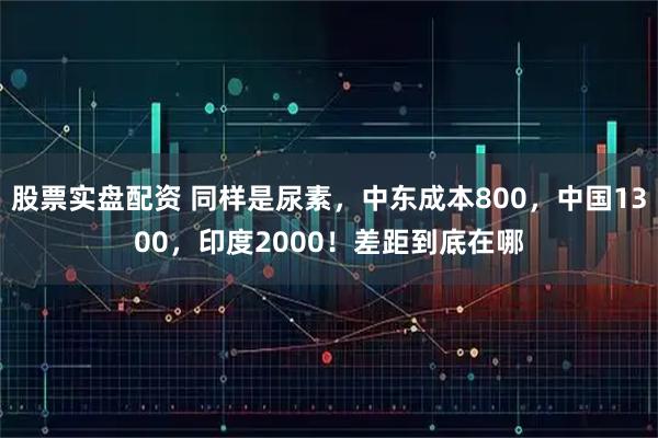 股票实盘配资 同样是尿素,中东成本800,中国1300,印度2000!差距到底在哪
