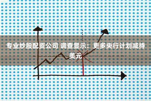 专业炒股配资公司 调查显示：更多央行计划减持美元