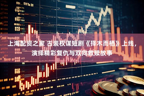 上海配资之家 古装权谋短剧《择木而栖》上线，演绎精彩复仇与双向救赎故事